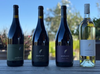 Andante Fall Release
