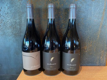 Library Pinot noir 3-Pack