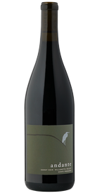 2023 Gamay noir